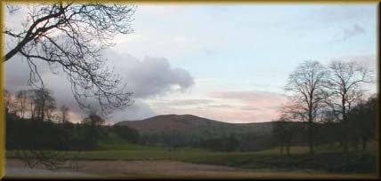 devencreekbest.jpg (15229 bytes)