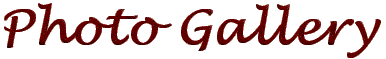 photo1.gif (3691 bytes)