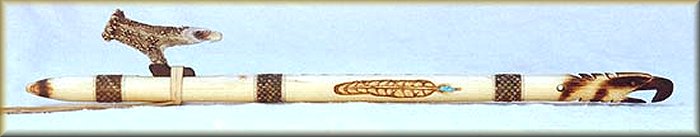 muse1.jpg (14018 bytes)