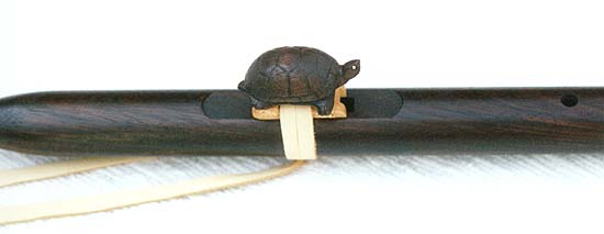 turtle2.jpg (14708 bytes)