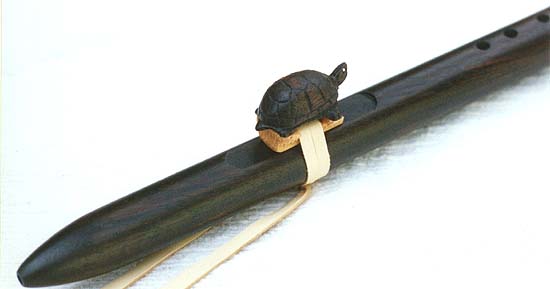 turtle4.jpg (17107 bytes)