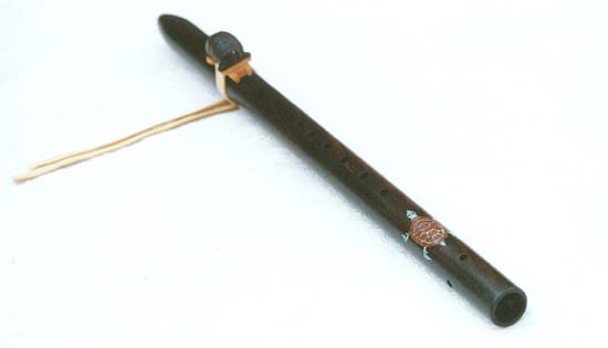 turtle5.jpg (12070 bytes)